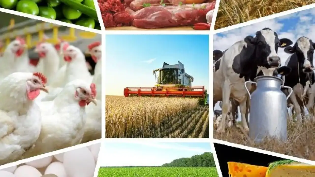 Если бы я стал министром сельского хозяйства Казахстана... Часть 2-я