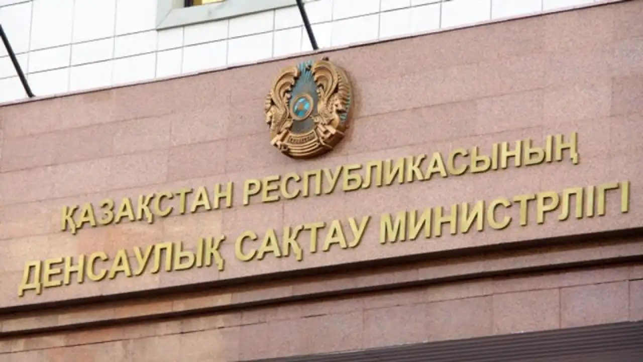 Если бы я стал министром здравоохранения Казахстана…