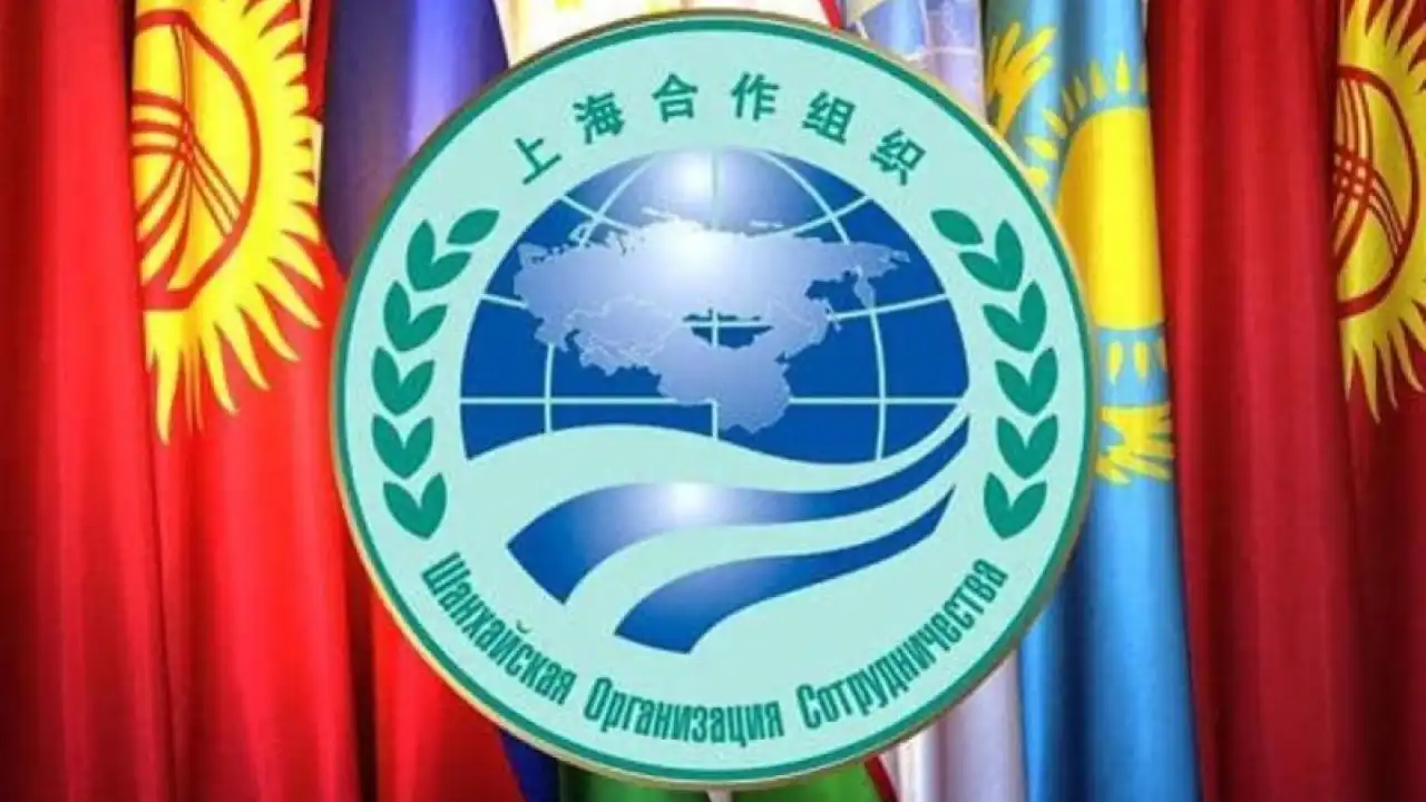 От пограничных споров до противостояния Западу: какое будущее ждет ШОС?