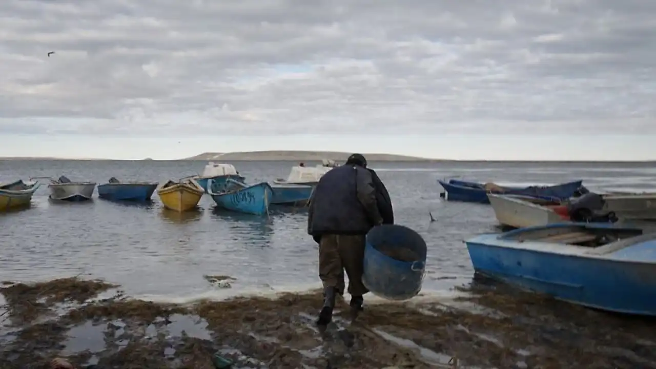 Стоит ли расширять Малый Арал и где взять для него воду?