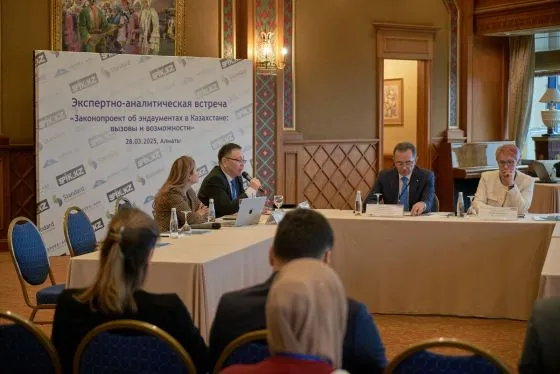Хотели как лучше… Нужен ли Казахстану закон об эндаумент-фондах?
