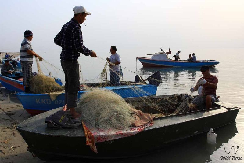 SOS с берегов Арала: море останется без рыбы, а рыбаки – без работы?