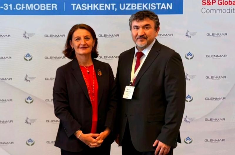 Газ вместо границ: инициатива казахстанского эксперта может изменить энергетику Центральной Азии